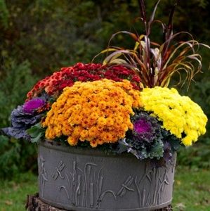 Meet your Posher, Karen